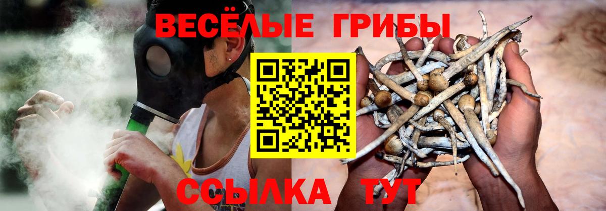 Галлюциногенные грибы ЛСД  Вход с VPN  Ярославль 